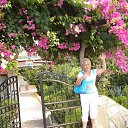 ���� ����, ����� - ��������� 1 ������� 2013 � ������ ���� ����������