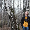 ���� �������, ������, 34 ���� - ��������� 10 �������� 2013