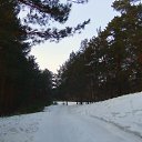 ���� �����, ������ - ��������� 11 ������� 2014 � ������ ������
