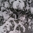 �������� ������ �����,���� �������� �����! �� ������� ����� ��� ������������