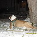 ���� �������, ������, 47 ��� - ��������� 24 ������� 2013