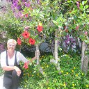 ���� ��������, ����-�����������, 65 ��� - ��������� 16 ������� 2013 � ������ ���� ����������