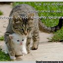���� ����, ����-��������� - ��������� 15 ����� 2014