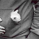 ���� �������, ����������� - ��������� 14 ����� 2014 � ������ ���� ����������