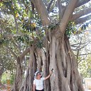 ���� ������, �����, 57 ��� - ��������� 9 ������� 2014 � ������ ���� ����������