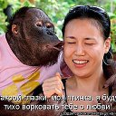 ���� ��������� ����������, ���������, 71 ��� - ��������� 28 ������ 2014 � ������ ���� ����������