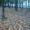 ���� Tarik, ���� - ��������� 11 ����� 2014 � ������ ���� ����������