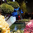 ���� ..����_,����.tatiana, ������� - ��������� 3 ����� 2014 � ������ �Flower show 1 mart.2014.�