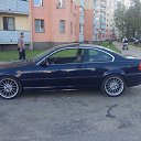 ���� ���� �����, �����-���������, 29 ��� - ��������� 15 ������� 2013 � ������ �����