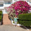 ���� ������, ������, 72 ���� - ��������� 4 ����� 2014 � ������ �������