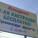 ���� ����, ������ - ��������� 18 ������ 2014 � ������ ������ ��������