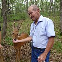 ���� ������, ����������, 77 ��� - ��������� 29 ������� 2013 � ������ ���� ����������