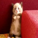 ��� ����� ������� � �������� �������� �����:
 http://vkontakte.ru/app1905375 �� ������� ���� ���� ������