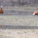 ���� �����, ������, 67 ��� - ��������� 21 ������� 2013 � ������ ���� ����������