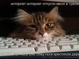 ���� �����, �������� - ��������� 26 ������� 2013 � ������ ��-�����