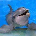 ���� Aleta, ������, 51 ��� - ��������� 31 ������� 2013 � ������ �Mega Race�