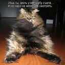 ���� �������, ����������� - ��������� 8 ������� 2013 � ������ ��������� ��������