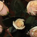 ���� Kisa, ��������������, 42 ���� - ��������� 21 ������� 2013 � ������ ������ �����������...�