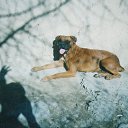 ���� ������, ���������� - ��������� 11 �������� 2013 � ������ ���� ����������