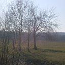 ���� Tarik, ���� - ��������� 11 ����� 2014 � ������ ���� ����������