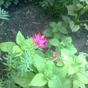  Masha, , 43  -  7  2013    