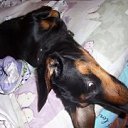 ���� �����, ��������� - ��������� 28 ������� 2013 � ������ ���� ����������