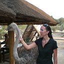 ���� ����, ������, 50 ��� - ��������� 19 ������� 2013 � ������ ���� ����������