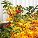 ���� �����, �����, 64 ���� - ��������� 30 ������ 2013 � ������ ��Ψ�