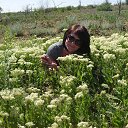 ������� ����� �� ������� ����� ��� ������������