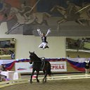 ��� ����� ������ 2013� �� ������� ���� ����������