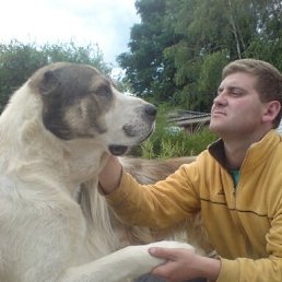 ���� ������, �����, 42 ���� - ��������� 4 ������� 2013