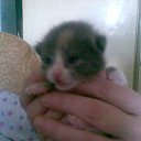 ��������� �� ������� ���� ������� ������