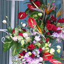 ���� Oleg, ����� - ��������� 29 ������� 2013 � ������ �B�����̻