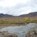 ���� �����, �����, 55 ��� - ��������� 9 ������ 2013 � ������ ���� ����������