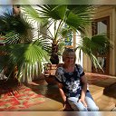  , --, 65  -  24  2013    