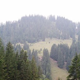 ���� ��������, �������, 74 ���� - ��������� 28 ������� 2013