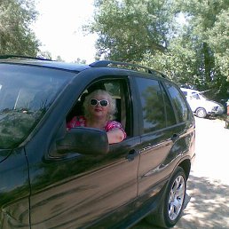 �������, ����������, 63 ����