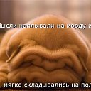 ���� ���, ������������, 30 ��� - ��������� 2 �������� 2013 � ������ ���� ����������