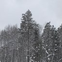 ���� �������, �������, 41 ��� - ��������� 31 ������� 2013 � ������ ���� ����������