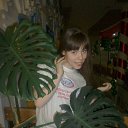  , , 29  -  9  2014   2013 .