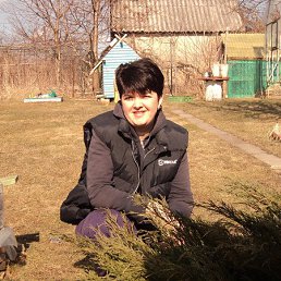 ���� �������, �����������, 47 ��� - ��������� 29 ������� 2013