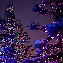 ���� - ��� ����� ���� �� �����, � �������� ����� � ���� ���������� �
��������� ����� ���� ������������.... �� ������� ������ ��������