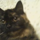 ���� ������, ���������, 53 ���� - ��������� 19 ������ 2014 � ������ ������