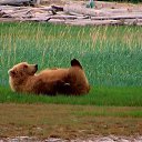  , , 56  -  16  2014   X