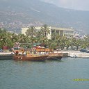 ���� ���������, �����������, 43 ���� - ��������� 8 ������� 2013 � ������ ���� ����������