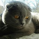 ������� ������ ��� �� ������� ���� ����������