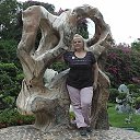 ���� ������ �� ����������� ����� �� ������� ��������_��������