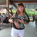 ���� ����, ���, 61 ��� - ��������� 31 ������� 2013 � ������ ���� ����������