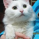 ���� ���� Beautiful, ������� - ��������� 14 ������� 2013 � ������ ���� ������� ���