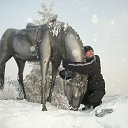 ���� �������, ���� - ��������� 3 ������� 2013